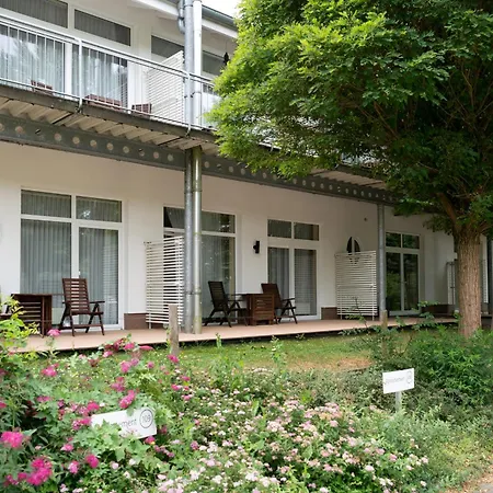 Schneeeule 222 * Granzow